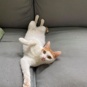 Meet your Posher, Tina